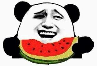 娱乐圈吃瓜群众免费吃瓜,免费吃瓜，尽享明星幕后故事  第1张