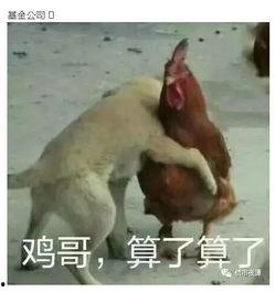 鸡哥早期爆料图片高清视频,高清图片与视频背后的故事 第2张 鸡哥早期爆料图片高清视频,高清图片与视频背后的故事 第2张